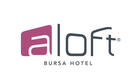 ALOFT BURSA - Odunluk Mahallesi, Akpınar Cd, Bursa 16110